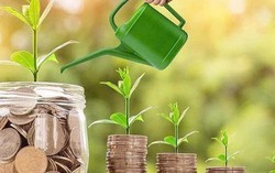 Lịch chốt quyền trả cổ tức trong tuần từ ngày 13/7-17/7, tỷ lệ cao nhất 50%
