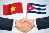 Một dự án ở Cuba 'đang trong tình trạng tuyệt vời': Điều gì khiến Việt Nam trở thành 'chìa khóa'?