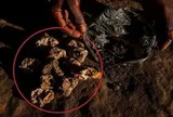 Congo: Mảnh đất ẩn chứa kho báu khoáng sản nghìn tỷ USD, trái tim của ngành công nghệ toàn cầu
