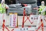 Hàn Quốc báo động: Dịch bệnh lở mồm long móng xuất hiện sau 11 năm, kích hoạt ứng phó khẩn cấp