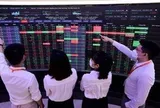 MBS gọi tên 3 doanh nghiệp BĐS hưởng lợi nhờ phát triển hạ tầng và loạt dự án lớn