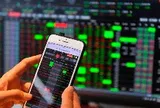 Khối ngoại càng bán, dư nợ margin càng tăng: Điều gì ẩn sau sự trùng hợp này?