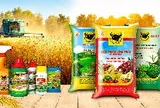Phân bón Bình Điền (BFC) báo lãi giảm sốc trong quý II