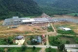 Nhà máy sản xuất ván tre 3.200 tỷ mở đường đưa cây tre Việt "xuất ngoại"