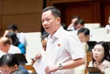 Kiến nghị đưa kim cương vào ngành nghề kinh doanh có điều kiện