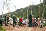 Phú Gia hiện thực hóa tầm nhìn 'dịch chuyển tọa độ sống' tại Quy Nhơn