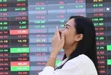 Xuất hiện loạt tín hiệu tích cực cho thị trường chứng khoán