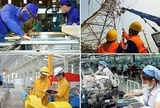 “Sóng” cổ phiếu vốn nhà nước: Cơ hội hay áp lực nguồn cung?