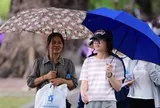 Thời tiết hôm nay 15-8: Bắc Bộ mưa trở lại, Nam Bộ chiều mưa to