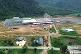 Nhà máy sản xuất ván tre 3.200 tỷ mở đường đưa cây tre Việt "xuất ngoại"