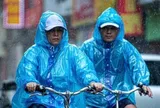 Thời tiết hôm nay 29-8: Bắc Bộ, Nam Bộ và cao nguyên Trung Bộ khả năng mưa to