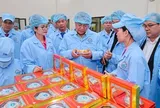 Đoàn Đại biểu cấp cao Viêng Chăn tham quan nhà máy yến sào SANVINEST Khánh Hòa