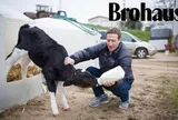Trại bò của Mark Zuckerberg