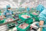Xuất khẩu cá tra sang Anh tăng 23%, nhu cầu thực phẩm tiện lợi mở thêm dư địa