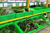 Một “đại gia” tuyển người cùng bán rau, thu nhập có thể lên đến 30 triệu đồng