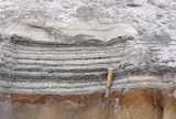 ADN cổ nhất hé lộ thế giới kỳ lạ của Greenland cách đây 2 triệu năm