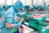 VASEP chỉ ra những “nút thắt” về thuế gây khó cho doanh nghiệp thủy sản