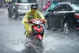 Hà Tĩnh đến Đà Nẵng mưa lớn, có nơi trên 250mm