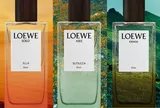 Top 3 mùi hương Elixir đình đám trong bộ sưu tập Landscape của Loewe