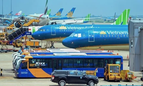 Các hãng bay Việt Nam nguy cơ bị 'bào mòn' lợi nhuận