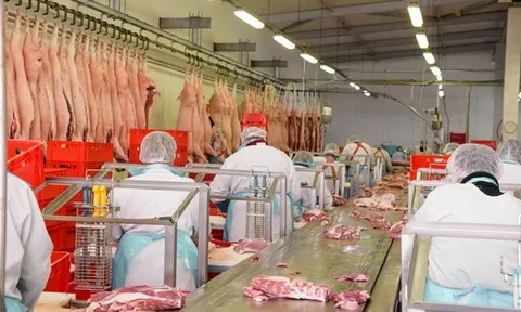 Tập đoàn chế biến thịt lớn nhất thế giới muốn biến Việt Nam thành trung tâm sản xuất toàn cầu