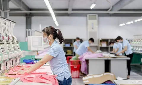 FPTS tiếp tục đăng ký bán hơn 500.000 cổ phiếu MSH
