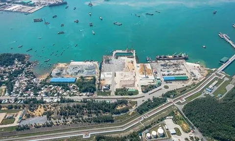 Thành lập 2 Ban Quản lý Khu kinh tế tỉnh Gia Lai, Quảng Ngãi