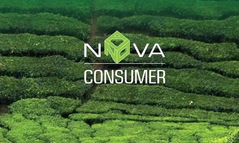 Tổng Giám đốc Nova Consumer bất ngờ từ nhiệm