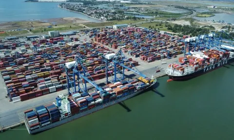 Phê duyệt chủ trương đầu tư dự án xây dựng 04 bến cảng container tại Hải Phòng