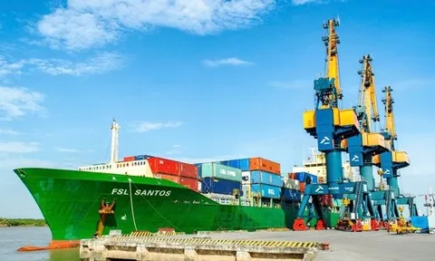 Quỹ Leadvisors rời ghế cổ đông lớn tại Xếp dỡ Hải An