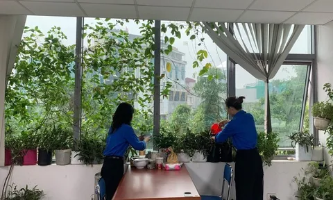 Tuổi trẻ Hội Luật gia Việt Nam hưởng ứng "Ngày Chủ nhật xanh"
