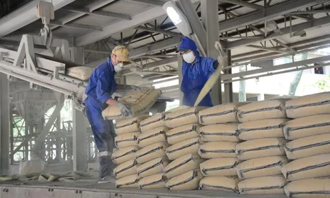 Đài Loan (Trung Quốc) áp thuế chống bán phá giá 23,2% với xi măng Việt Nam