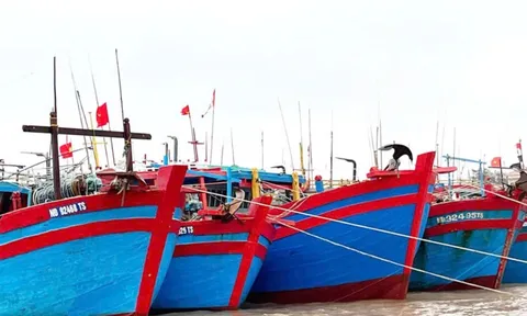 Ninh Bình thành lập Ban chỉ đạo chống khai thác IUU