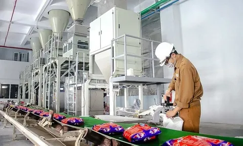 Cổ phiếu hoá chất DGC được định giá trên 120.000 đồng