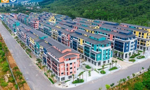 CEO Group báo lãi, góp 50 tỷ vào công ty con làm KCN Sân bay Tiên Lãng