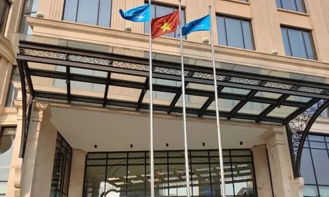 Lãnh đạo doanh nghiệp đua bán cổ phiếu, HIG xin rời sàn