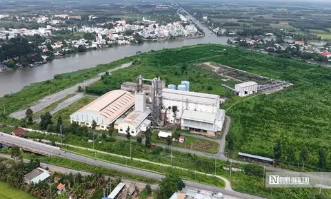 Nhà máy bột giấy nghìn tỷ bỏ hoang, 45ha "đất vàng" phủ đầy cỏ dại