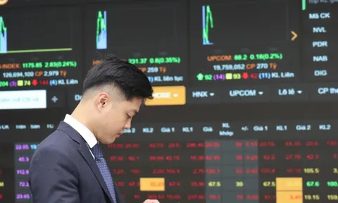 Cổ phiếu họ Vin lập kỷ lục, nhóm ngân hàng 'nằm sàn'