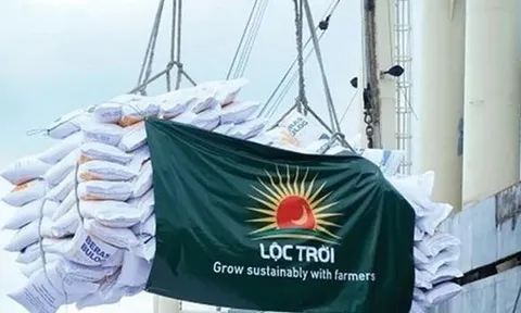 Cổ đông Lộc Trời không chấp nhận kế hoạch lỗ 500 tỷ, không bầu bổ sung thành viên HĐQT
