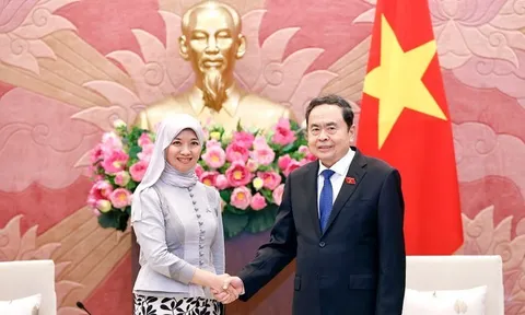 Việt Nam là thành viên tích cực, trách nhiệm trong AIPA