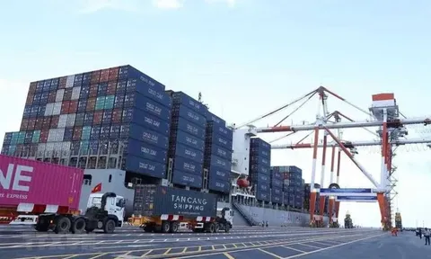 Bộ Tài chính đề xuất phương án đơn giản hóa hơn 500 thủ tục hành chính
