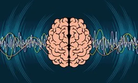 Giải mã bí ẩn: Cách sóng não lọc tiếng ồn trong cuộc sống hàng ngày