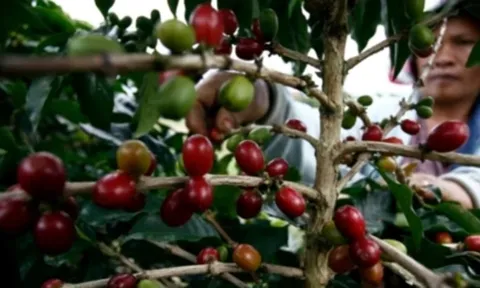 Chịu mức thuế 40% của Mỹ, nước láng giềng Việt Nam tính chuyển hướng xuất khẩu mặt hàng ‘hái ra tiền’ sang Nga