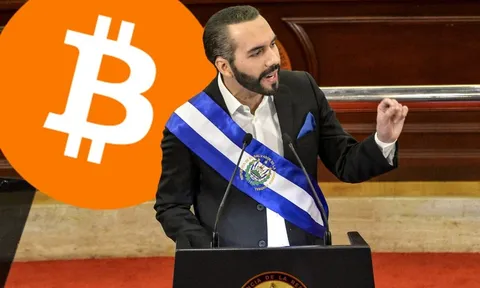 Lãi gần 450 triệu USD, người đàn ông này lại đem ‘quốc khố’ đi mua thêm bitcoin bất chấp cam kết với chủ nợ