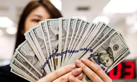 Tỷ giá USD hôm nay 4.12: Ngoại tệ biến động trái chiều, USD giữ mức ổn định