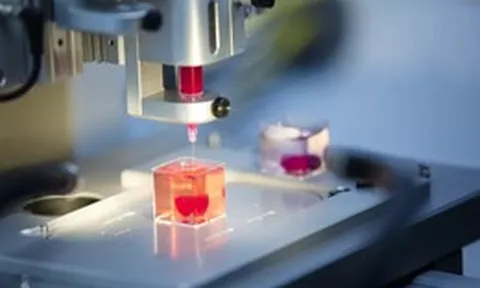 Tin vui cho hội nhậu nhẹt: gan in 3D có thể "cứu cánh" lá gan đang suy yếu