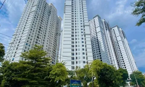 Chuyên gia dự đoán giá chung cư 2026 0