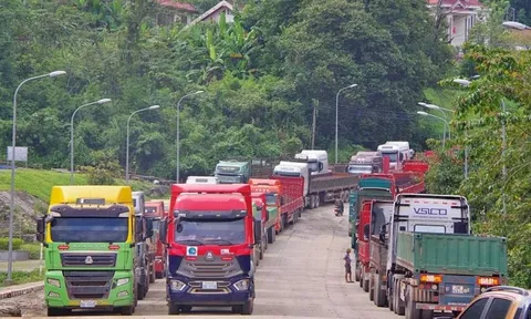 Thủ tướng yêu cầu lập đường dây nóng tiếp nhận và xử lý vướng mắc Nghị định 46