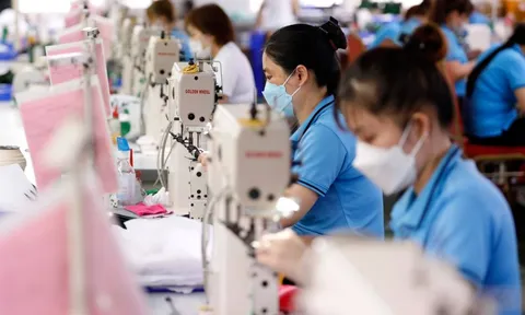 Doanh nghiệp thành lập mới và quay trở lại hoạt động tăng 76,2%