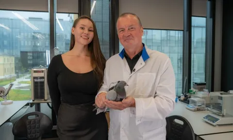 Chuyện thật như đùa: Nga thử nghiệm gắn chip điều khiển vào não chim bồ công để dùng làm công cụ giám sát